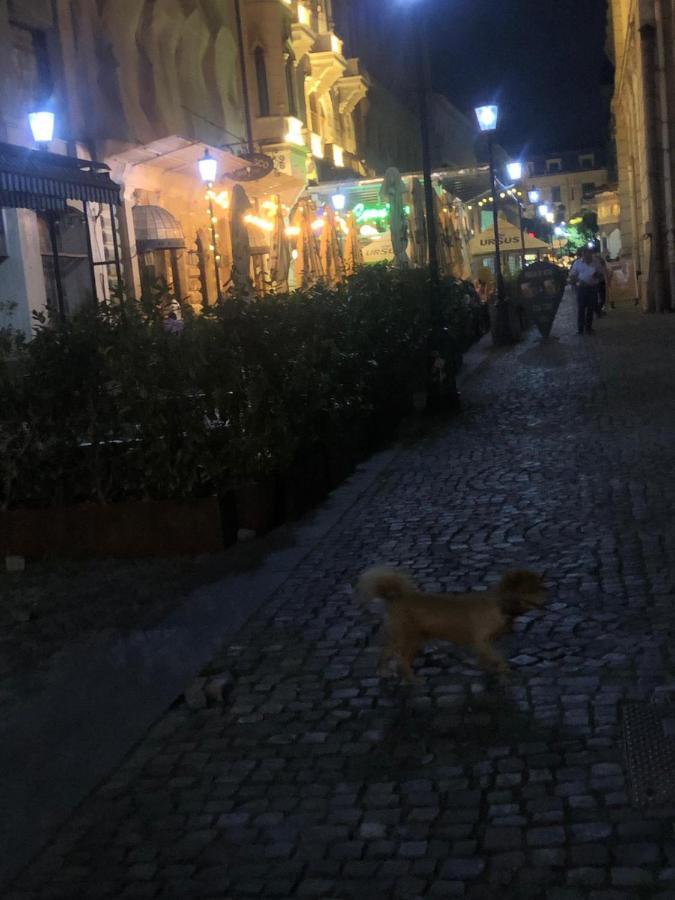 Charming Quiet Studio Coltea Old Town In The Centre Of Bukarest Exteriör bild